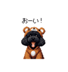 クマさん着ぐるみトイプードル 黒 日常会話（個別スタンプ：33）