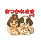 私の家族のシーズー犬 5（個別スタンプ：5）