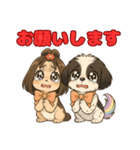 私の家族のシーズー犬 5（個別スタンプ：10）
