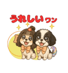 私の家族のシーズー犬 5（個別スタンプ：13）
