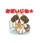 私の家族のシーズー犬 5（個別スタンプ：15）