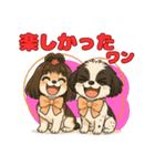 私の家族のシーズー犬 5（個別スタンプ：17）
