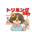 私の家族のシーズー犬 5（個別スタンプ：19）
