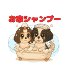 私の家族のシーズー犬 5（個別スタンプ：20）
