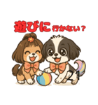 私の家族のシーズー犬 5（個別スタンプ：23）