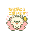【しろいぬ】何度でも使える日常会話（個別スタンプ：1）