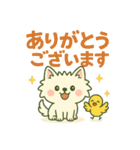 【しろいぬ】何度でも使える日常会話（個別スタンプ：2）