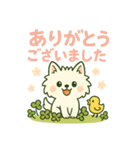 【しろいぬ】何度でも使える日常会話（個別スタンプ：3）