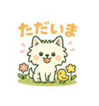 【しろいぬ】何度でも使える日常会話（個別スタンプ：8）