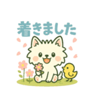 【しろいぬ】何度でも使える日常会話（個別スタンプ：10）