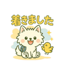 【しろいぬ】何度でも使える日常会話（個別スタンプ：11）