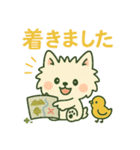 【しろいぬ】何度でも使える日常会話（個別スタンプ：12）