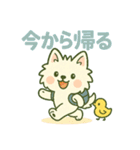 【しろいぬ】何度でも使える日常会話（個別スタンプ：13）