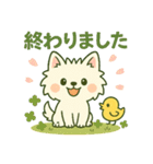 【しろいぬ】何度でも使える日常会話（個別スタンプ：15）