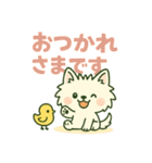 【しろいぬ】何度でも使える日常会話（個別スタンプ：17）