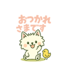 【しろいぬ】何度でも使える日常会話（個別スタンプ：20）