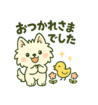 【しろいぬ】何度でも使える日常会話（個別スタンプ：23）