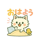 【しろいぬ】何度でも使える日常会話（個別スタンプ：24）