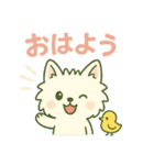 【しろいぬ】何度でも使える日常会話（個別スタンプ：25）
