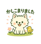 【しろいぬ】何度でも使える日常会話（個別スタンプ：30）