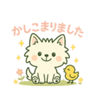 【しろいぬ】何度でも使える日常会話（個別スタンプ：31）