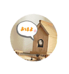 我が家の犬と鳥たち♡（個別スタンプ：2）