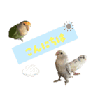 我が家の犬と鳥たち♡（個別スタンプ：4）