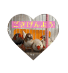我が家の犬と鳥たち♡（個別スタンプ：7）