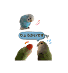 我が家の犬と鳥たち♡（個別スタンプ：13）