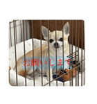 我が家の犬と鳥たち♡（個別スタンプ：18）