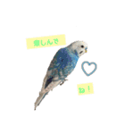 我が家の犬と鳥たち♡（個別スタンプ：22）