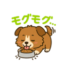 音を立てるデフォルメワンコたち（個別スタンプ：36）