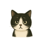 白黒猫 色々スタンプ（個別スタンプ：1）