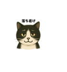 白黒猫 色々スタンプ（個別スタンプ：6）