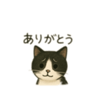 白黒猫 色々スタンプ（個別スタンプ：9）