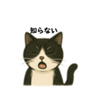 白黒猫 色々スタンプ（個別スタンプ：11）