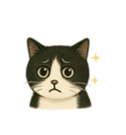 白黒猫 色々スタンプ（個別スタンプ：15）