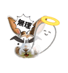 目力が強い「クセ強もふもふ動物園」（個別スタンプ：5）