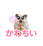 目力が強い「クセ強もふもふ動物園」（個別スタンプ：19）