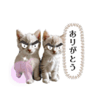 目力が強い「クセ強もふもふ動物園」（個別スタンプ：22）
