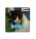 スケボーババァ④（個別スタンプ：12）