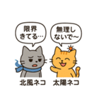 北風ネコと太陽ネコ（個別スタンプ：34）