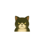 白黒猫の気持ちm（個別スタンプ：6）