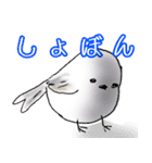 チンエナガの楽しい毎日（個別スタンプ：7）
