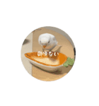 まりんの暴動日常（個別スタンプ：7）