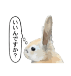 うさぎ島（大久野島）のかわいいうさぎたち（個別スタンプ：5）