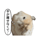うさぎ島（大久野島）のかわいいうさぎたち（個別スタンプ：9）
