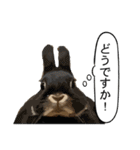 うさぎ島（大久野島）のかわいいうさぎたち（個別スタンプ：11）