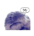 うさぎ島（大久野島）のかわいいうさぎたち（個別スタンプ：16）