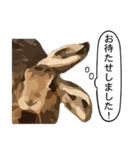 うさぎ島（大久野島）のかわいいうさぎたち（個別スタンプ：17）